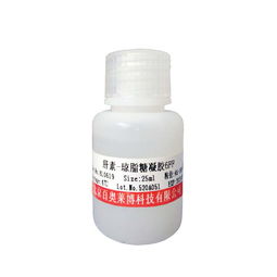 多聚賴氨酸 非臨床診斷用生物試劑的關(guān)鍵角色與應(yīng)用